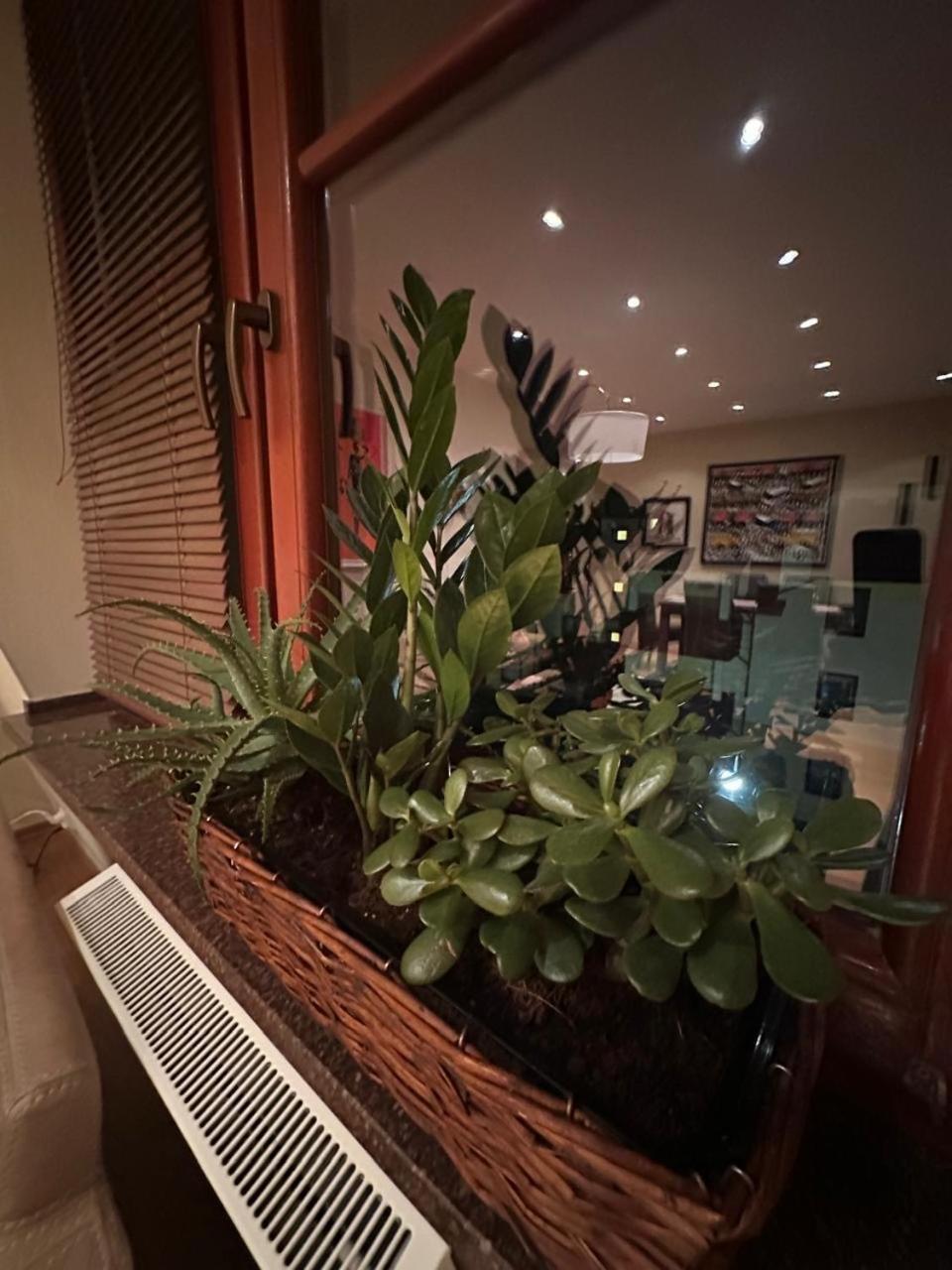 Apartament Josefina โปลานิซา-สดรอยจ์ ภายนอก รูปภาพ